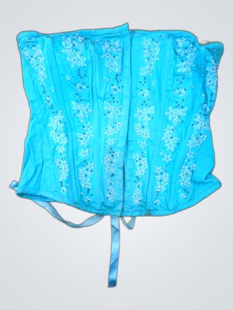 Blue Embroidered Corset