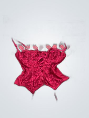 Evie Red Lace Corset Top