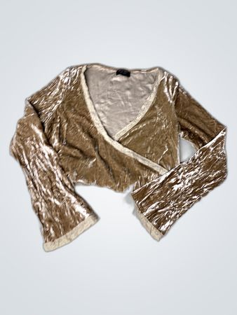 Brown Velvet Top