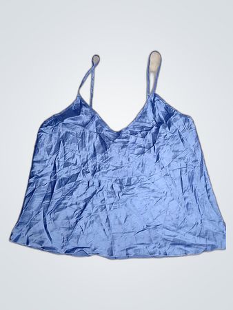 Blue Camisole Top