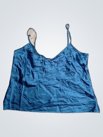 Blue Camisole Top