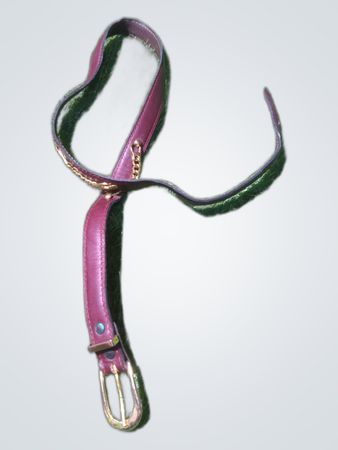 Leather Dog Collar