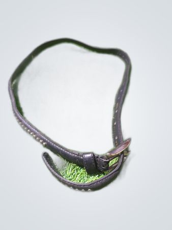 Leather Whip