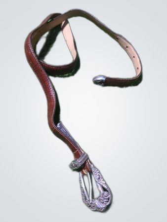 Brighton Leather Belt