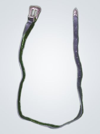 Leather Belt Strap