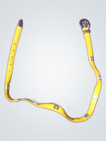 Yellow Dog Collar and Leash Set