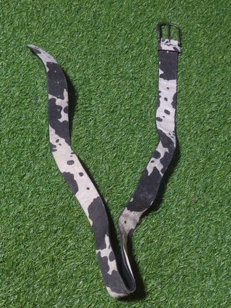 Cow Print Belt