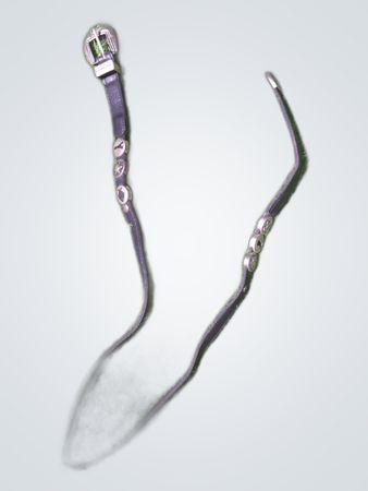 Leather Horse Lead Rope