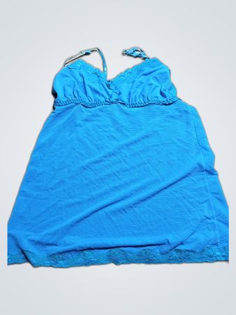 Blue Ann Summers Dress