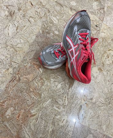 Asics Running Shoes