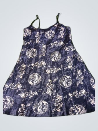 Blue Dragon Print Dress