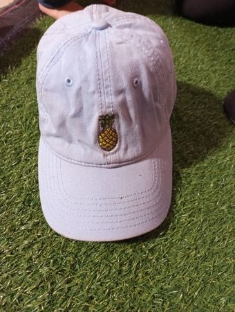 Light Blue Baseball Cap with Pineapple Emblem