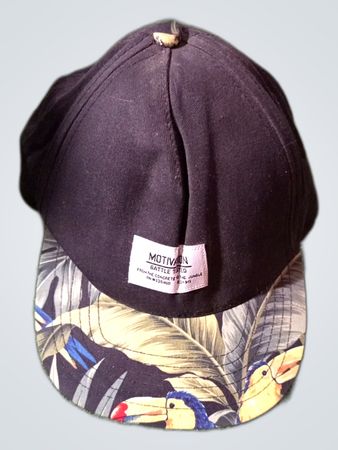 Motivation Battle Tested Cap