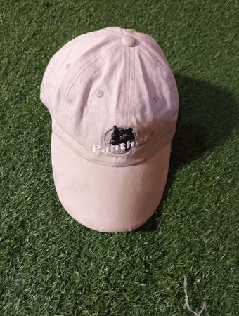 Panther Vision Baseball Cap