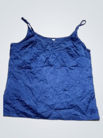 Blue Camisole Top