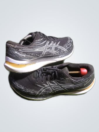 Asics Gel-Kayano