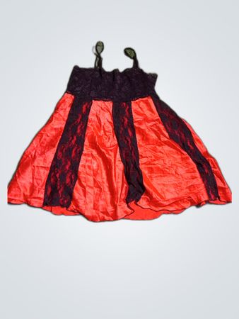 Women's Red and Black Dress
