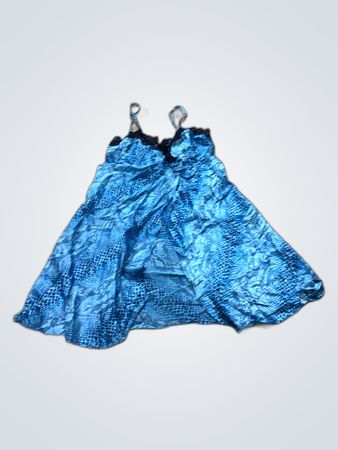 Blue Snake Print Dress
