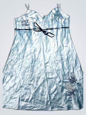 Light Blue Embroidered Dress