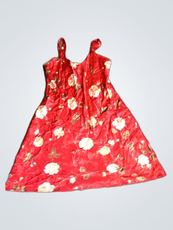 Red Floral Dress