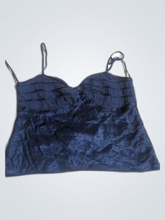 Blue Velvet Top
