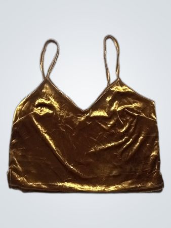 Gold Velvet Bra Top