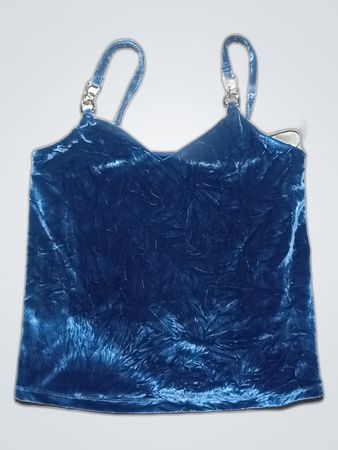 Blue Velvet Top