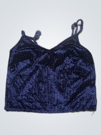 Blue Velvet Crop Top