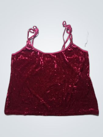 Wine Colored Velvet Top