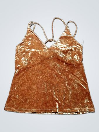 Brown Velvet Top