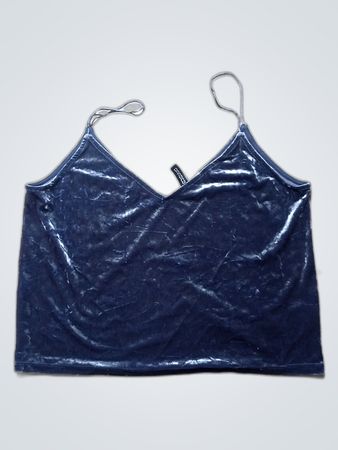 Blue Velvet Top