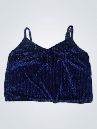 Blue Velvet Crop Top