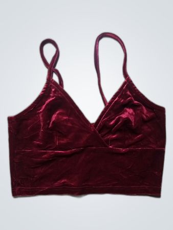 Urban Renewal Velvet Bra