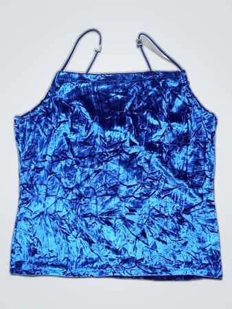 Blue Velvet Top