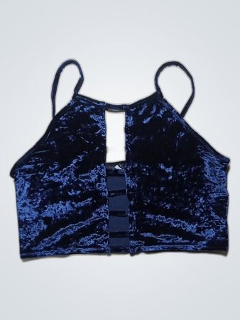 Blue Velvet Crop Top