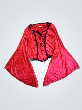Red Angel Wings