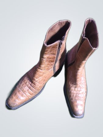 Brown Leather Cowboy Boots