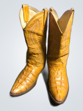 Cowboy Boots