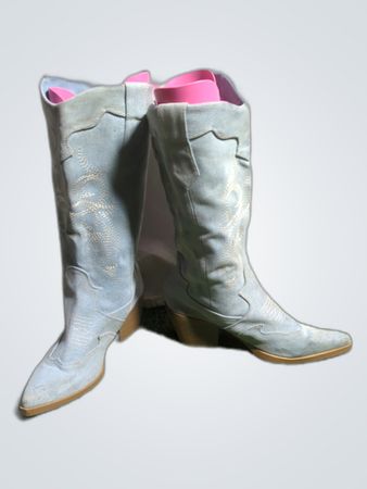 Blue Cowboy Boots