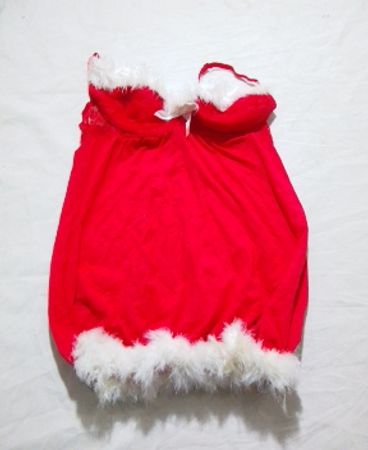 Red Dress with White Fur Trim