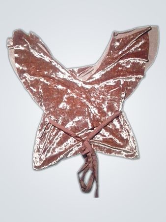 Brown Velvet Top