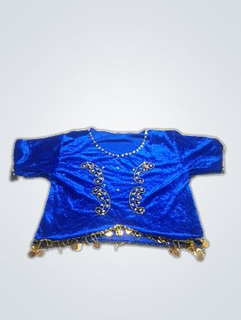 Blue Velvet Top with Gold Coins