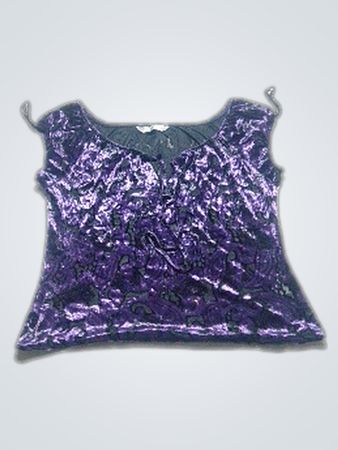 Purple Velvet Top