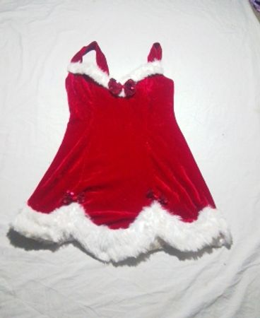 Red Velvety Dress with White Fur Trim