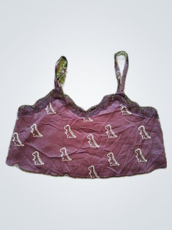 Bra with Dinosaur Pattern