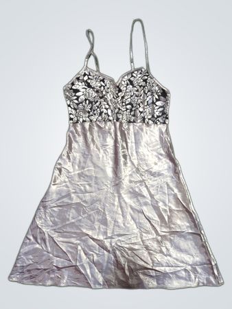 Silver Dress
