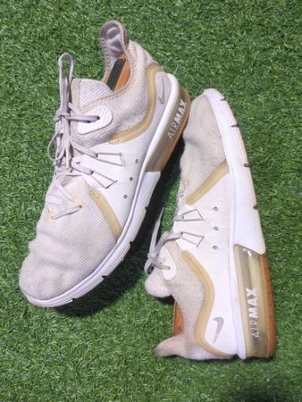 Nike Air Max Sneakers