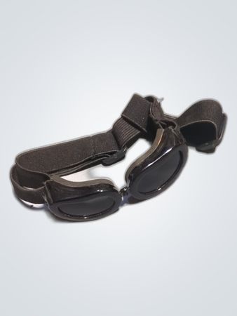 Dog Goggles