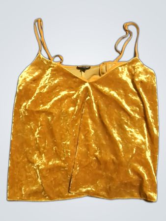 Golden Velvet Top