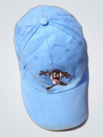 Looney Tunes Blue Baseball Cap